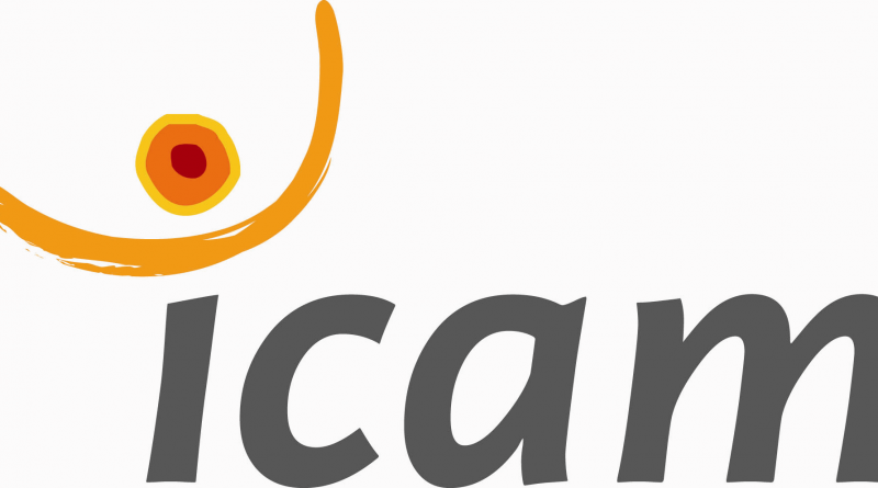 Logo Icam