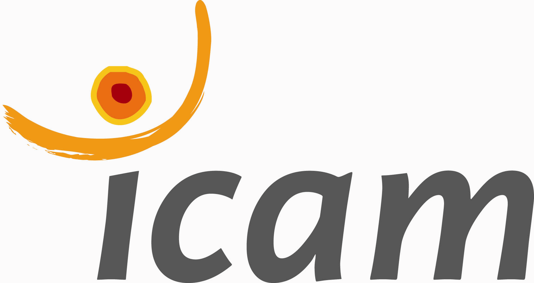 Logo Icam